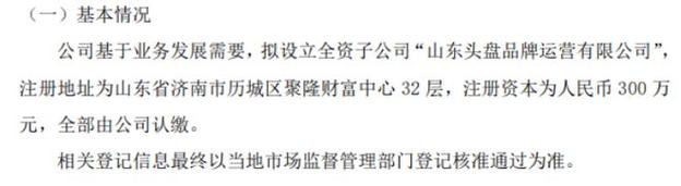隆鑫股份擬投資300萬(wàn)設(shè)立全資子公司山東頭盤品牌運(yùn)營(yíng)