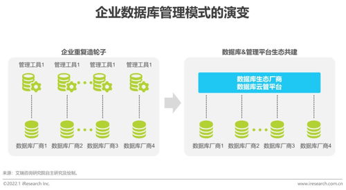 2022年數(shù)據(jù)庫(kù)云管平臺(tái)白皮書