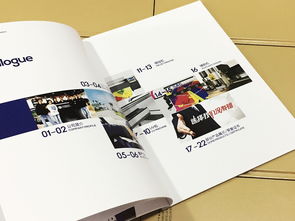 產(chǎn)品畫冊制作 企業(yè)形象畫冊設(shè)計 宣傳冊定制公司 成都百鉑文化