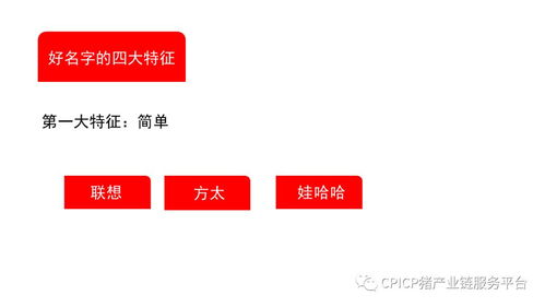 肖一刀 從無到有,打造豬肉品牌丨2018第三屆中國豬產業(yè)鏈生態(tài)圈年會